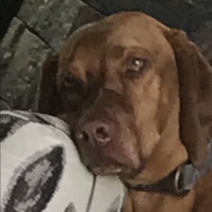 Meet your Posher, Sara